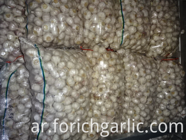 New Crop Garlic